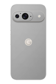 Skin Google Pixel - Silber